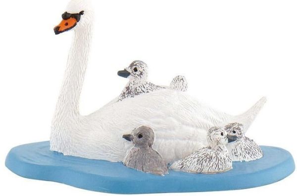BUL62322 - Schwanenfamilie - 1