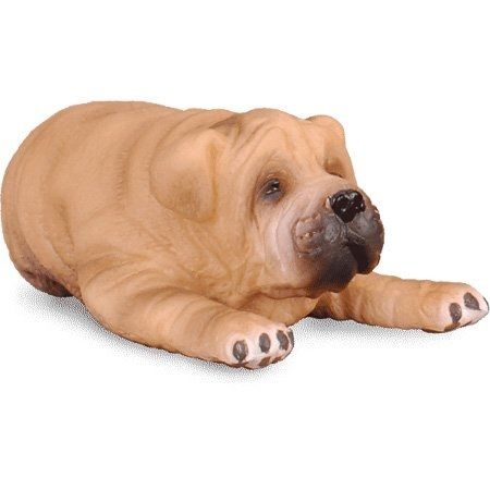 COLL88194 - Sharpei-Welpe; der sich hinlegt - 1