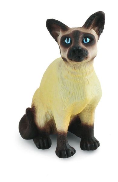 COLL88331 - Sitzende siamesische Katze - 1