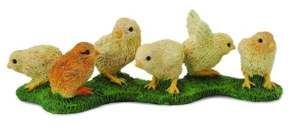 COLL88479 - Chicks - 1