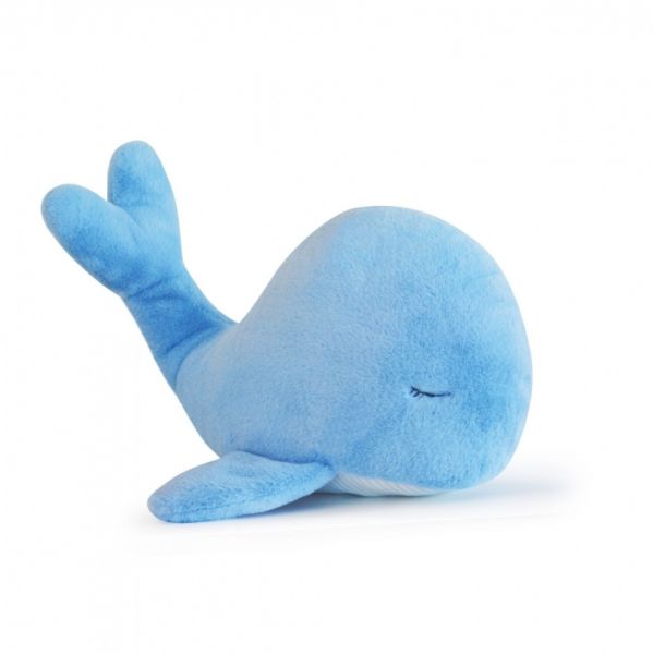 DC3677 - WAL XXL - Blau - 1