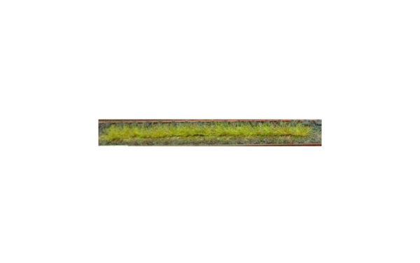 HEK1810 - Packung mit 10 Frühlingsgrasstreifen 10 cm - 1