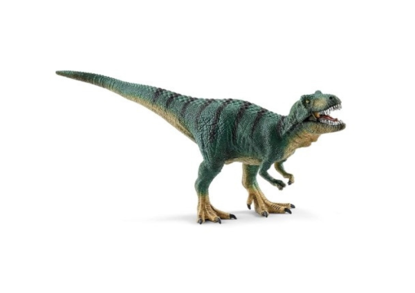 SHL15007 - Junger Tyrannosaurus Rex - 1
