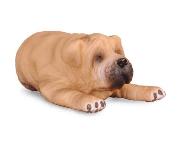 COLL88194 - Sharpei-Welpe; der sich hinlegt - 1