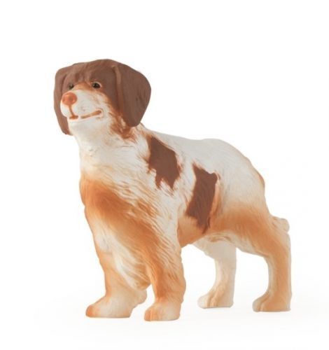 ERT46530 - Bretagne-Spaniel - 1