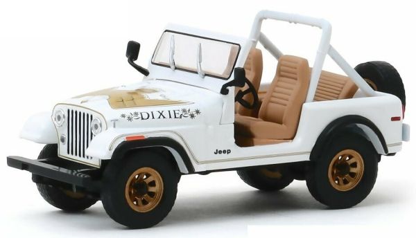 GREEN86572 - JEEP CJ-7 1979 Steinadler - 1