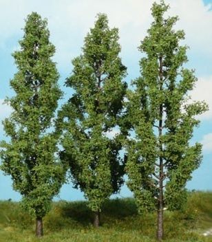 HEK1718 - 3 Pappeln 18 cm - 1