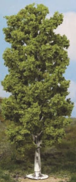 HEK1984 - Birke 20 cm - 1