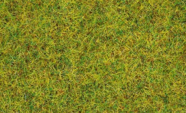 NOC08310 - Sommerwiesengras - 20 g - 2;5 mm - 1