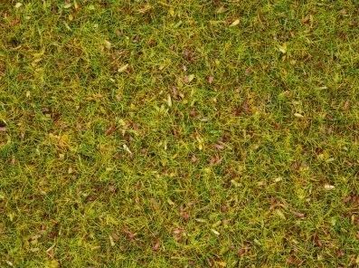 NOC08330 - Gras mit Blumen - 2;5 mm - 20 g - 1