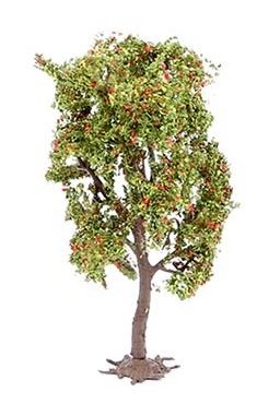 NOC21650 - Eberesche - 11;5 cm - 1