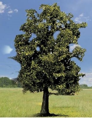 NOC21690 - Buche - 13 cm - 1