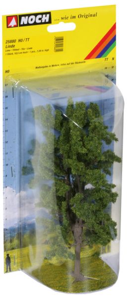 NOC25880 - Linde 18;5 cm - 1