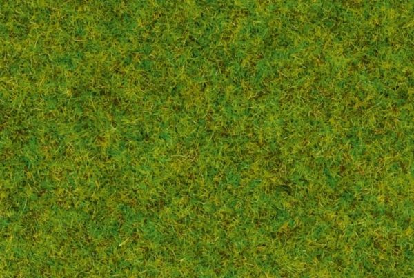 NOC50210 - Gras; mittelgrün - 100 g - 2;5 mm - 1