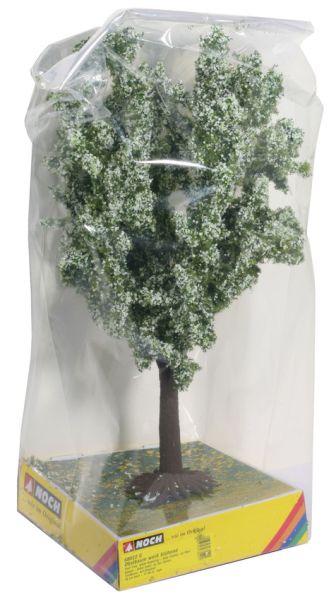 NOC68022 - Blühende Baumhöhe 30 cm - 1
