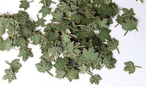 PLS253 - 4mm Miniatur grüne Ahornblätter für Diorama - 1