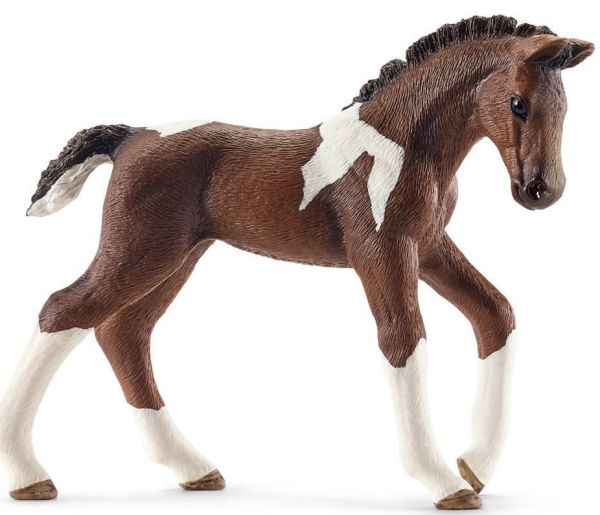 SHL13758 - Fohlen Trakehnen - 1