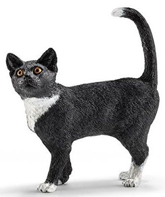 SHL13770 - Katze steht - 1