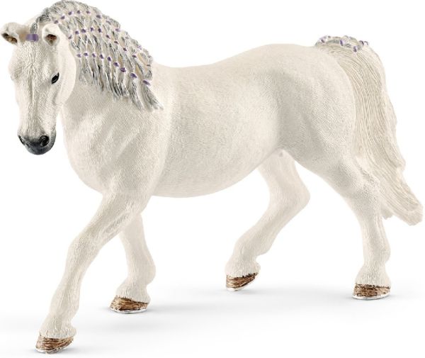 SHL13819 - Lipizzaner Stute - 1