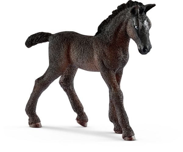 SHL13820 - Lipizzaner-Fohlen - 1