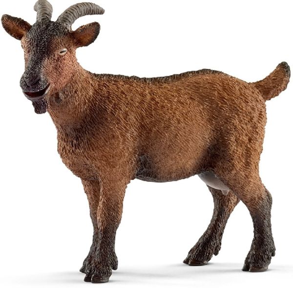 SHL13828 - Ziege - 1