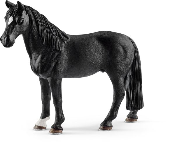 SHL13832 - Tennessee-Walker-Wallach - 1