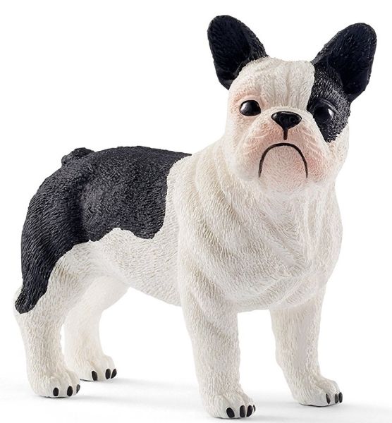 SHL13877 - Französische Bulldogge - 1