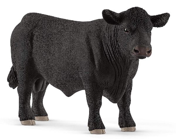 SHL13879 - Angus-Stier - 1