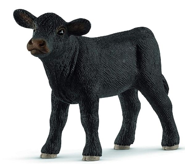 SHL13880 - Angus Kalb - 1