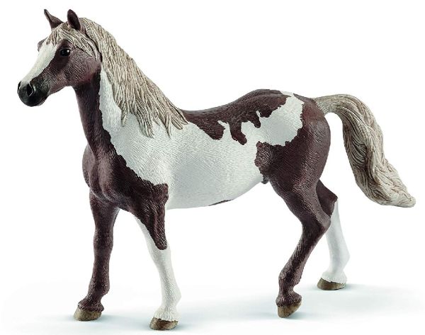 SHL13885 - Paint Horse Wallach - 1