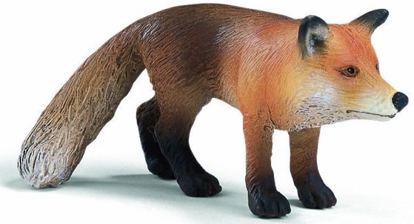 SHL14338 - Fuchs - 1