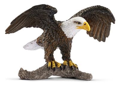 SHL14780 - Weißkopfseeadler - 1