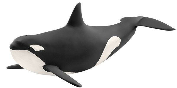 SHL14807 - Orca - 1