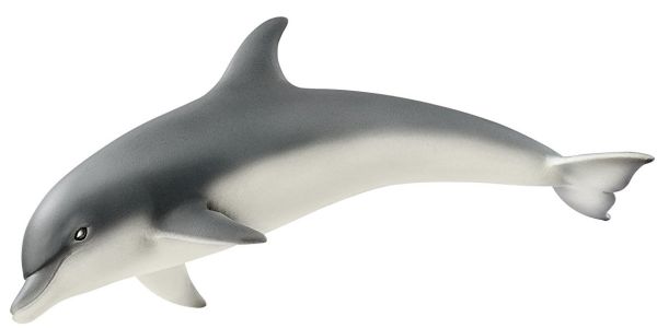 SHL14808 - Delfin - 1