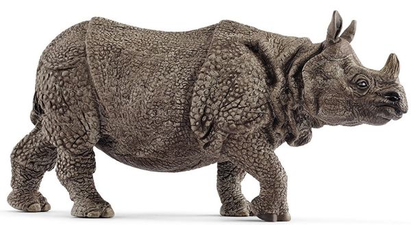 SHL14816 - Indisches Nashorn - 1