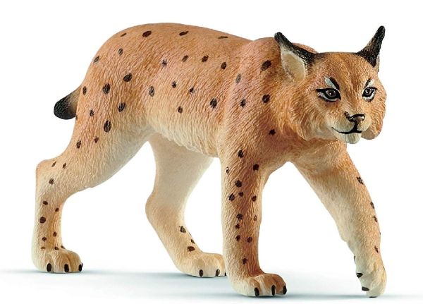 SHL14822 - Luchs - 1