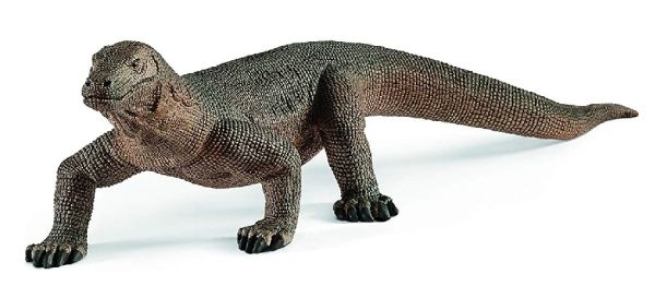 SHL14826 - Komodowaran - 1