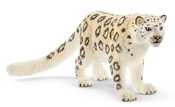 SHL14838 - Schneeleopard - 1