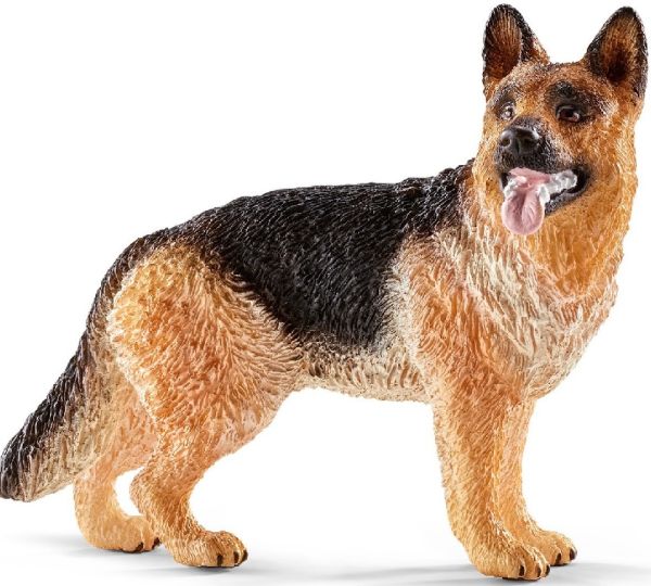 SHL16831 - Deutscher Schäferhund - 1