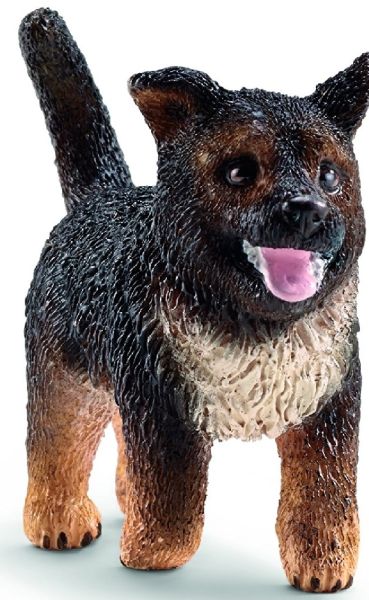 SHL16832 - Deutscher Schäferhund Welpe - 1