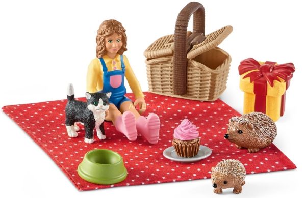 SHL42426 - Geburtstag Picknick - 1