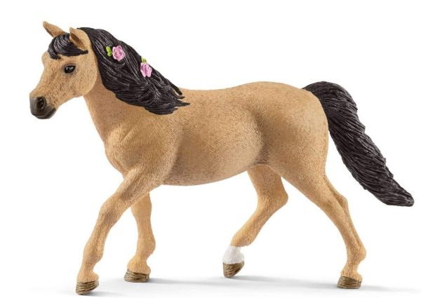 SHL13863 - Connemara Pony weiblich - 1