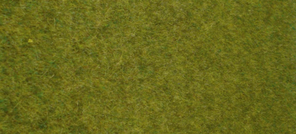 HEK1861 - Teppich aus wildem Graswald 45x17 cm - 1