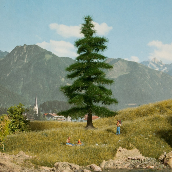 NOC21811 - Nordmannbaum 14;5 cm - 1