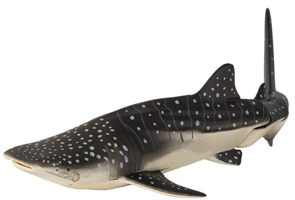 T16067 - Whale Shark - 1
