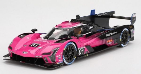TS0611 - CADILLAC Series-V #1 Petit Le Mans 2024 S.BOURDAIS / R.VAN DER ZANDE / S.DIXON - 1