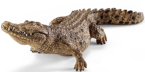 SHL14736 - Krokodil - 1