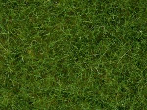 NOC07092 - Dose mit hellgrüner Beflockung 100g 6mm