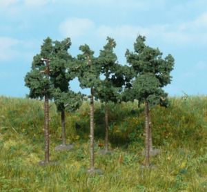 HEK1152 - 6 Kiefern 6 cm