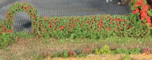 HEK11811 - 2 Rosenhecken – 7 x 14 mm – 50 cm lang.